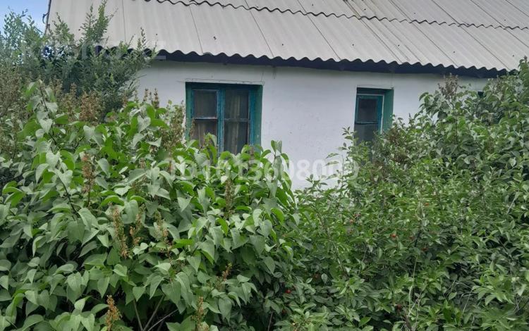 Дом · 3 комнаты · 60 м², Рыбзаводская 5 — Моря за 15 000 ₸ в Новой бухтарме — фото 18