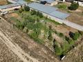 Ауыл шаруашылығы · 363 м², бағасы: 79 млн ₸ в Алматинской обл., Таргап — фото 21