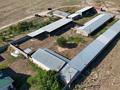 Ауыл шаруашылығы · 363 м², бағасы: 79 млн ₸ в Алматинской обл., Таргап — фото 33