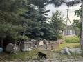 Отдельный дом · 5 комнат · 520 м² · 20 сот., мкр Нурлытау (Энергетик), Розы жамановой 224 за 250 млн ₸ в Алматы, Бостандыкский р-н — фото 4