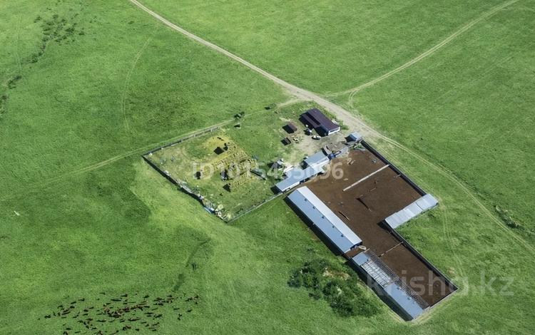 Оборудованная фазенда вблизь Алматы · 100000 м², бағасы: 320 млн ₸ в Алматинской обл., Таргап — фото 2