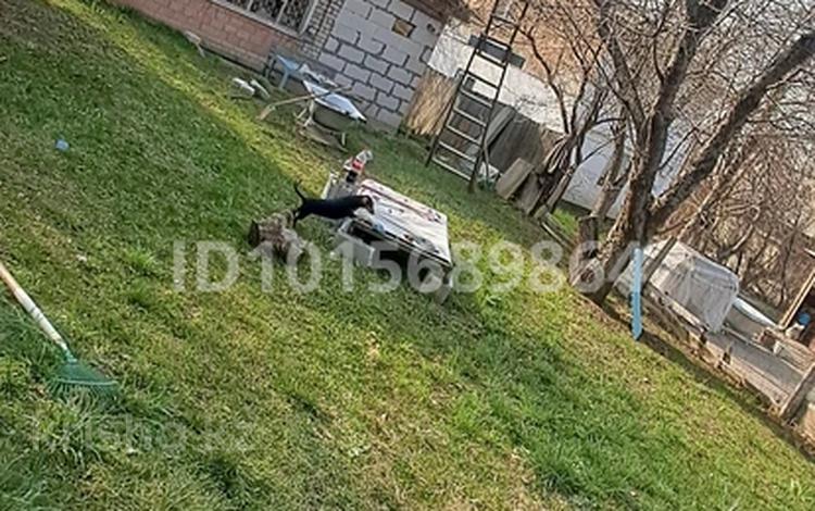 Жеке үй · 3 бөлме · 50 м² · 10 жүзд., Арман 25, бағасы: 23 млн ₸ в Кыргауылдах — фото 2