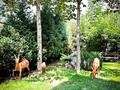 Жеке үй · 10 бөлме · 683 м² · 12.7 жүзд., Ерменсай ш/а. 47, бағасы: 3 млн ₸ в Алматы, Бостандыкский р-н — фото 9