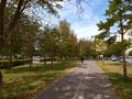 1-бөлмелі пәтер · 41 м² · 8/10 қабат, Абылай хана 51, бағасы: 22 млн ₸ в Астане, Алматы р-н — фото 22