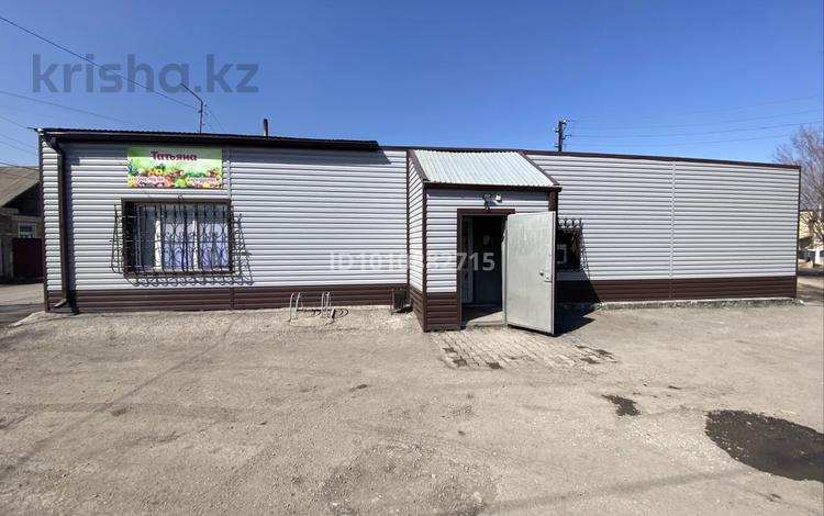 Два дома с магазином · 570 м² за 65 млн ₸ в Сарани — фото 48