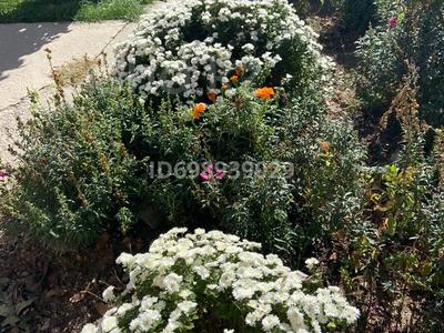 Дача · 2 комнаты · 60 м² · 6 сот., жилой массив Кайнар Булак, Энергетиков за 22 млн 〒 в Шымкенте, Абайский р-н