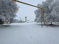 Участок · 1 га, Жамбыл (Жамбылский район) за 6 млн ₸ — фото 3