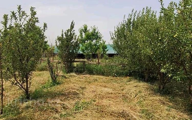 Фазенда · 180 м² за 55 млн ₸ в Талгаре — фото 2