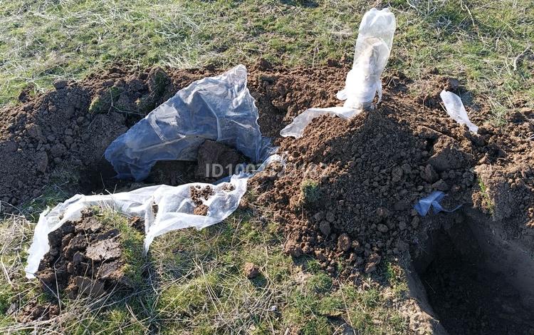 Участок · 8 соток, мкр Бозарык за 5 млн 〒 в Шымкенте, Абайский р-н — фото 2