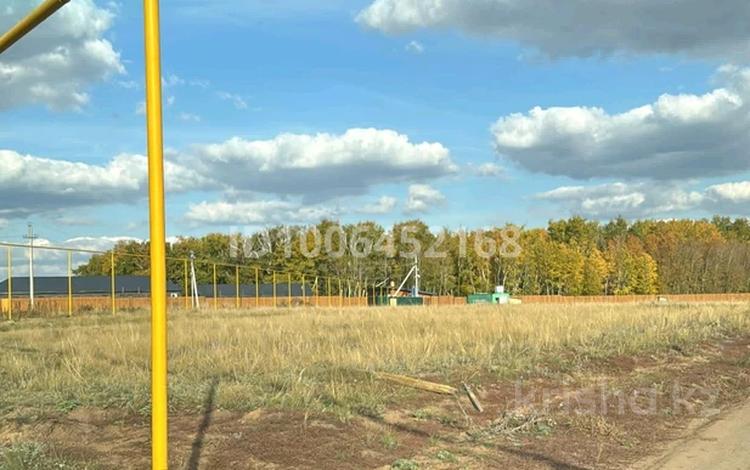 Участок · 12 соток, Мира — Ближе к природе за 6 млн 〒 в Аккайын — фото 13