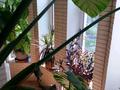Отдельный дом · 6 комнат · 240 м² · 6 сот., Садовникова 124 — Торговый дом АДК за 148 млн ₸ в Алматы, Ауэзовский р-н — фото 7