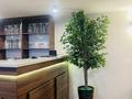 Общепит, развлечения · 200 м² за 1.5 млн ₸ в Караганде, Алихана Бокейханова р-н — фото 10