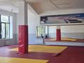 Фитнес и спорт · 120 м² за 10 000 ₸ в Алматы, Ауэзовский р-н