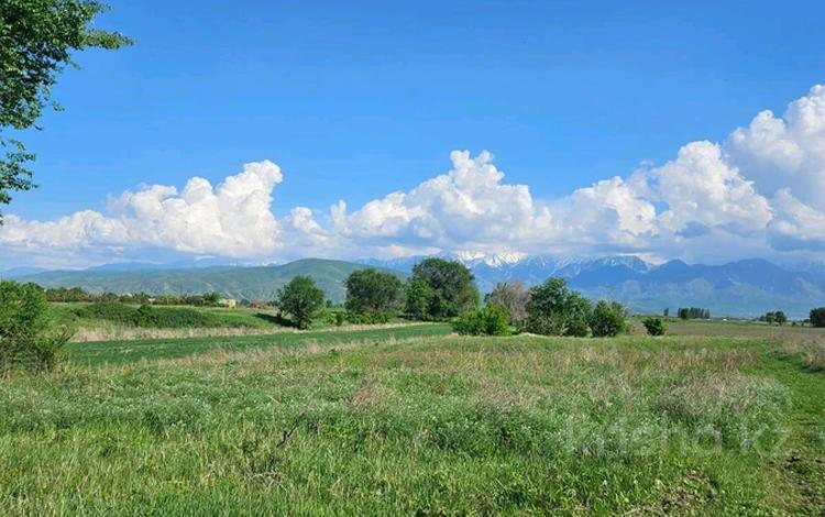 Участок · 1 га, Талгарский тракт за 17 млн ₸ в Кендале — фото 2