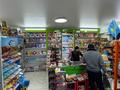 Магазины и бутики · 85 м² за 600 000 ₸ в Алматы, Наурызбайский р-н — фото 15