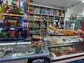 Магазины и бутики · 85 м² за 600 000 ₸ в Алматы, Наурызбайский р-н — фото 9