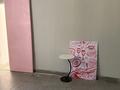 Еркін · 40 м², бағасы: 50 000 ₸ в Шымкенте, Аль-Фарабийский р-н — фото 3