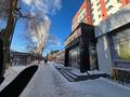 Дүкендер мен бутиктер · 1093 м², бағасы: 600 млн ₸ в Костанае — фото 11