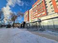 Дүкендер мен бутиктер · 1093 м², бағасы: 600 млн ₸ в Костанае