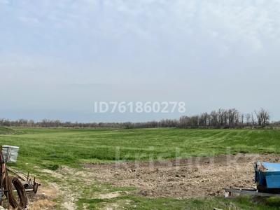Жер телімі · 12 га, Шымкент, бағасы: 150 млн ₸
