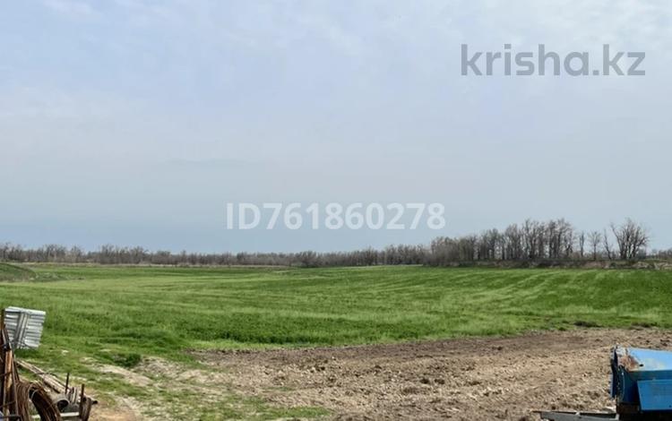 Жер телімі · 12 га, Шымкент, бағасы: 150 млн ₸ — фото 12