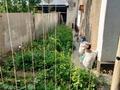 Отдельный дом · 4 комнаты · 110 м² · 3.57 сот., мкр Достык, Тагзым 41 — Шарипова за 70 млн ₸ в Алматы, Ауэзовский р-н