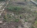 Дача · 1 комната · 33.5 м² · 6 сот., 9 линия 176 — За инновационной школой "Алтын Адам" за 9 млн ₸ в  — фото 9