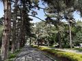 2-бөлмелі пәтер · 50 м² · 3/9 қабат, Жибек Жолы 59 — Валиханова, бағасы: 15 000 ₸ в Алматы, Медеуский р-н — фото 30