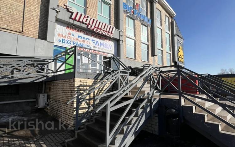 Еркін · 3000 м², бағасы: 550 млн ₸ в Астане, Сарыарка р-н — фото 2
