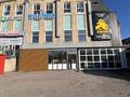 Еркін · 3000 м², бағасы: 550 млн ₸ в Астане, Сарыарка р-н — фото 4