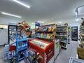 Магазины и бутики · 53.6 м² за ~ 46.6 млн ₸ в Астане, Нура р-н — фото 6
