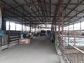 Производственная база, склады, гостиница, рынок за ~ 2 млрд 〒 в Коянкусе — фото 2