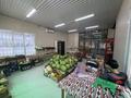 Свободное назначение · 42 м² за 500 000 ₸ в Алматы, Алатауский р-н — фото 6