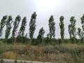 Участок · 120 соток, Байсерке за 105 млн ₸