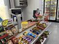 Продаётся действующий продуктовый магазин · 73 м² за 13 млн ₸ в Астане, Нура р-н — фото 7