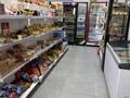Продаётся действующий продуктовый магазин · 73 м² за 13 млн ₸ в Астане, Нура р-н — фото 9