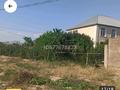 Отдельный дом · 4 комнаты · 360 м² · 10 сот., мкр Нуртас 2 — Даналык за 60 млн ₸ в Шымкенте, Каратауский р-н — фото 7