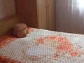 Отдельный дом · 5 комнат · 120 м² · 16 сот., Кунаева 109 за 25 млн ₸ в Павлодаре — фото 6