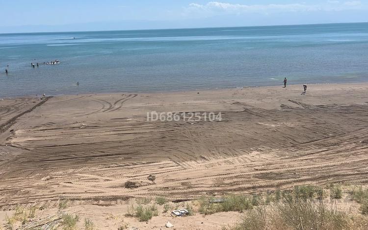 Участок 1.3 га, Айдос 23 — Золотой песок рядом за 115 млн 〒 в Конаеве (Капчагай) — фото 7