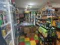 Действующий продуктовый магазин и оборудование, 45 м² за 5.2 млн 〒 в Астане, Сарыарка р-н — фото 5