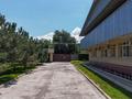 Өнеркәсіптік база · 50 сотық, Волочаевская 387 — Рыскулова, бағасы: 1.5 млрд ₸ в Алматы, Турксибский р-н — фото 30