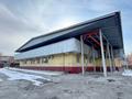 Промбаза · 50 соток, Волочаевская 387 — Рыскулова за 1.5 млрд ₸ в Алматы, Турксибский р-н — фото 80