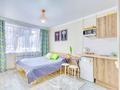 1-бөлмелі пәтер · 17 м² · 1/5 қабат, Казыбек би 126, бағасы: 14 500 ₸ в Алматы, Алмалинский р-н