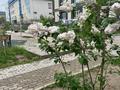 2-бөлмелі пәтер · 61.4 м² · 4/5 қабат, мкр Думан-2 13, бағасы: 46 млн ₸ в Алматы, Медеуский р-н — фото 17