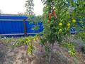 Отдельный дом · 6 комнат · 206.15 м² · 15 сот., Т.Дешенов Шоқпартоғай ауылы 269 — Шоқпартоғай ауылы за 25 млн ₸ в Кульсары — фото 4
