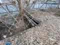 Участок · 5 га, Краснознамённая 48 за 8 млн 〒 в Усть-Каменогорске — фото 11