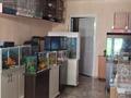 Свободное назначение · 100 м² за 57 млн 〒 в Таразе — фото 4