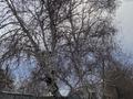 Саяжай · 10 бөлме · 1000 м² · 10 жүзд., ул. Достык 33, бағасы: 6 млн ₸ в Акмолинской обл. — фото 3