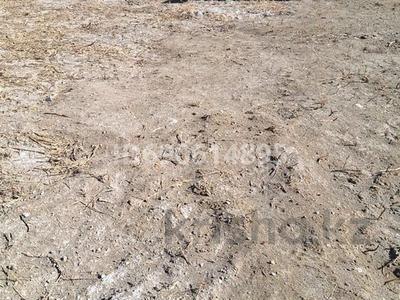 Жер телімі 6 сотық, Кызылорда, бағасы: 7.4 млн 〒