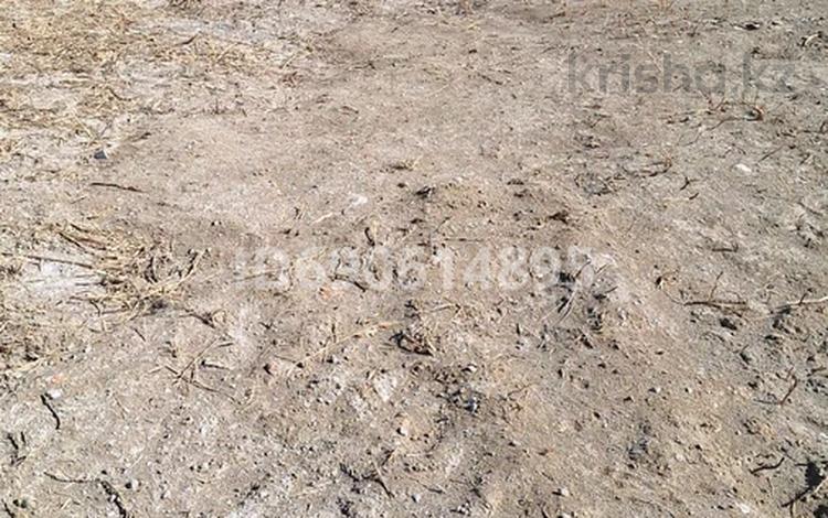 Жер телімі 6 сотық, Кызылорда, бағасы: 7.4 млн 〒 — фото 2